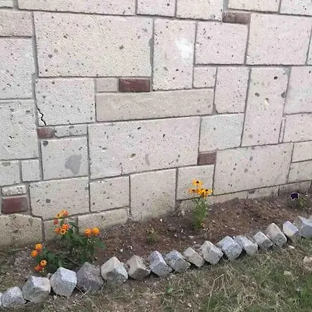 Bodrum Sahilinde Bahceli Terasli Ferah Ev